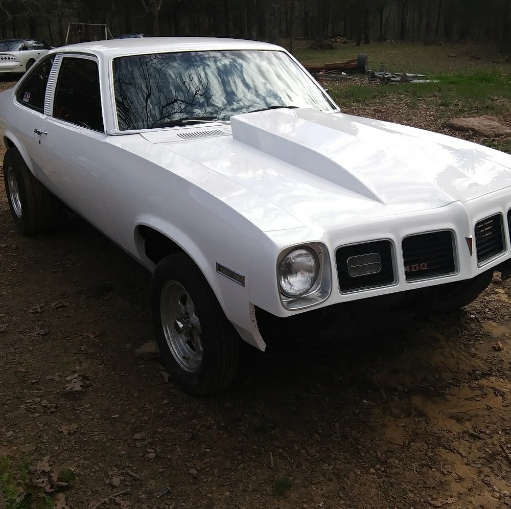 Meet your Posher, Holly